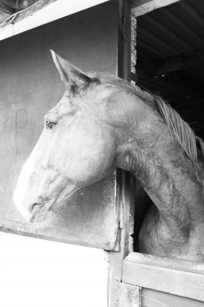 Photo de profil de peachy