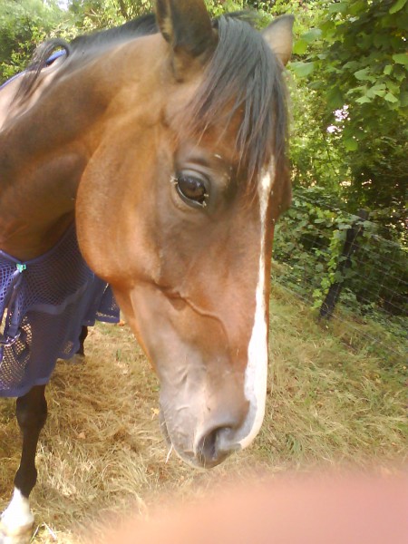 Photo de profil de lili53160