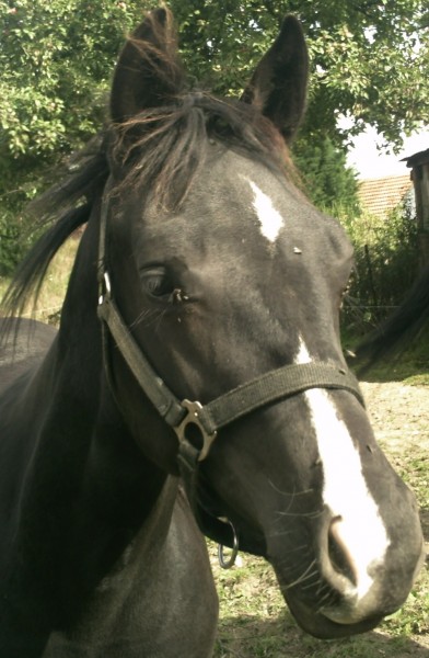 Photo de profil de filoute