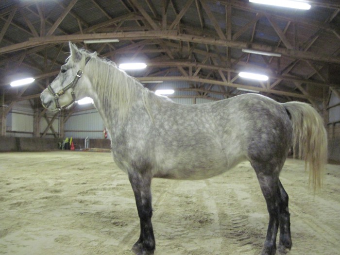 Photo de profil de prunelle10