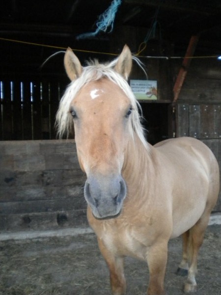 Photo de profil de poupsy