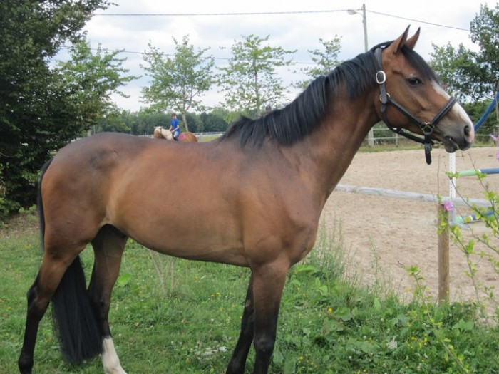 Photo de profil de jacques78