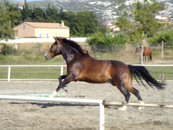Photo de profil de coco13