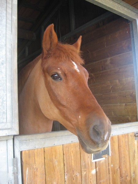 Photo de profil de x_luciie_x