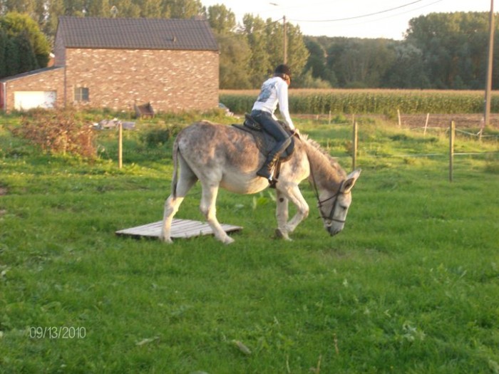 Photo de profil de moimiss