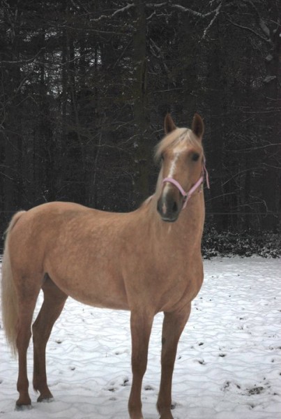 Photo de profil de loulou60