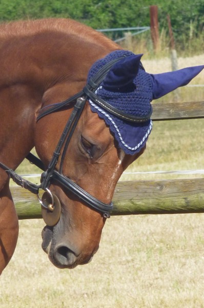 Photo de profil de luce54