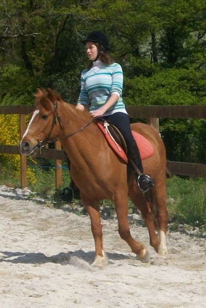 Photo de profil de sakarii