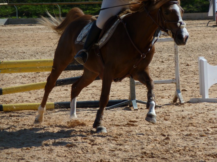 Photo de profil de ocebee42