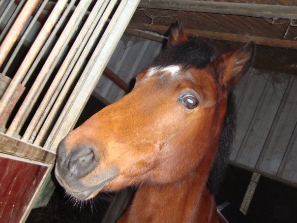 Photo de profil de panach