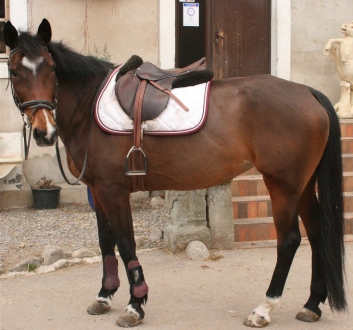 Photo de profil de charlie25