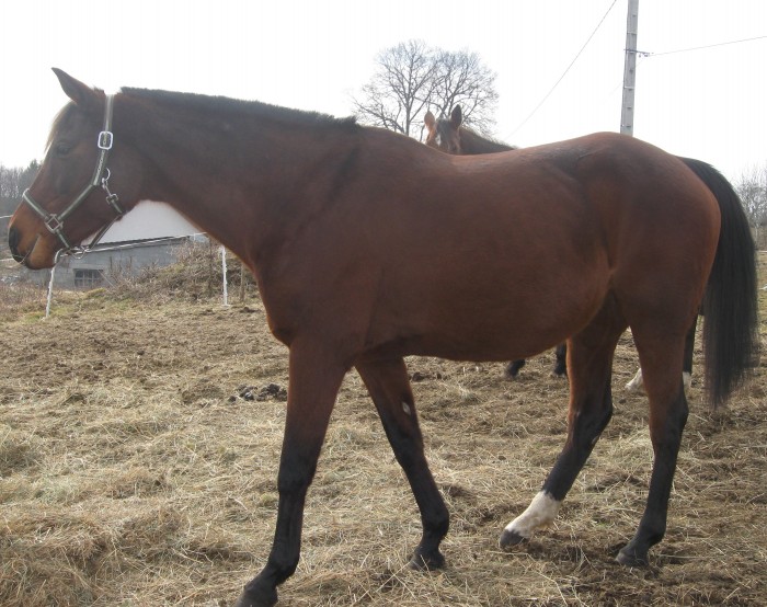 Photo de profil de lucile13