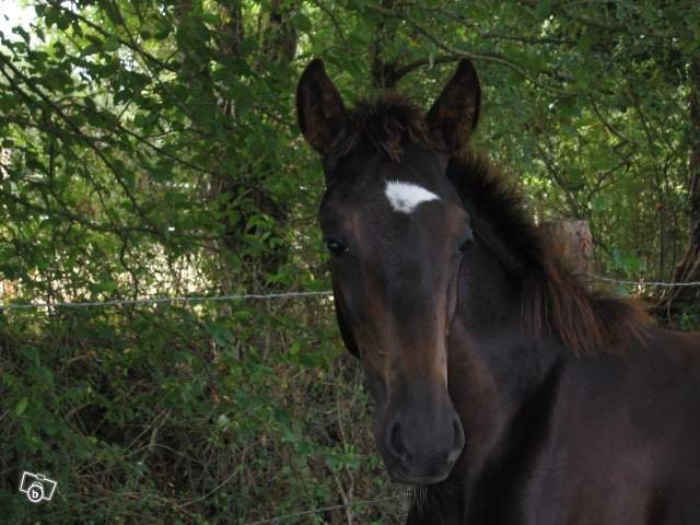 Photo de profil de isou49