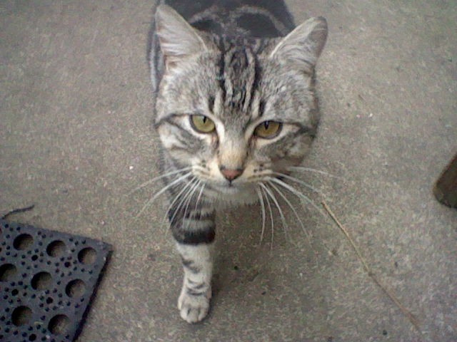 Photo de profil de lgarcia35600