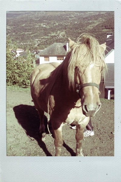 Photo de profil de floflote