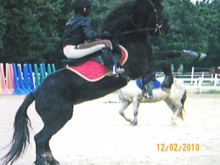 Photo de profil de triade12