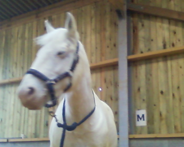 Photo de profil de elise_vio