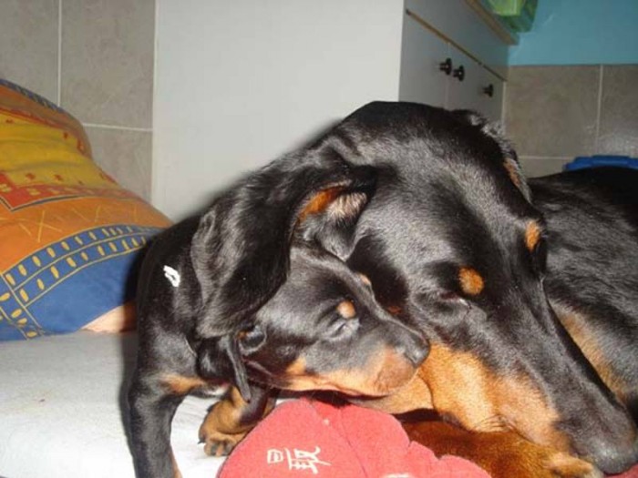 Photo de profil de caramelle552