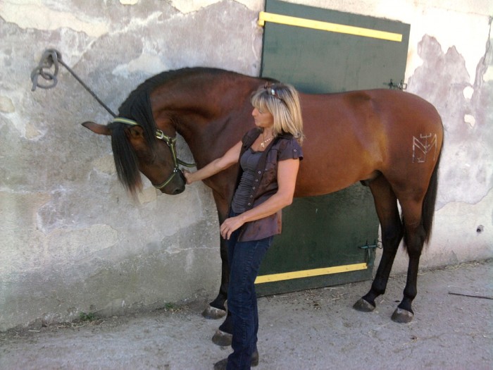 Photo de profil de elnochero