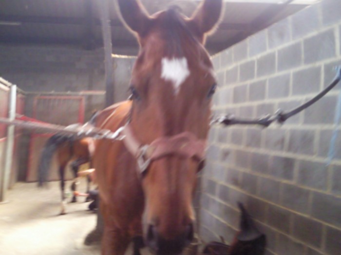 Photo de profil de jody_23