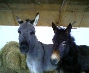 Photo de profil de karpediem