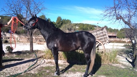 Photo de profil de maigmo