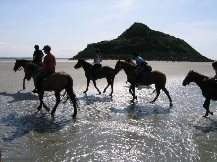 Photo de profil de chevalpompette