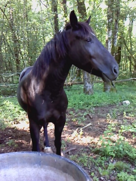 Photo de profil de kalika