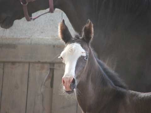 Photo de profil de cassy02