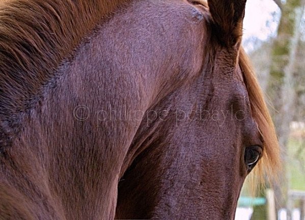 Photo de profil de ventekwpn