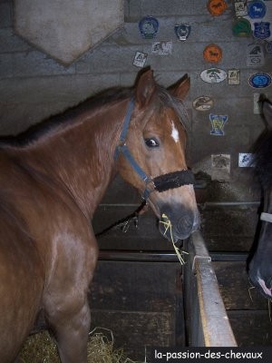 Photo de profil de lisouille38