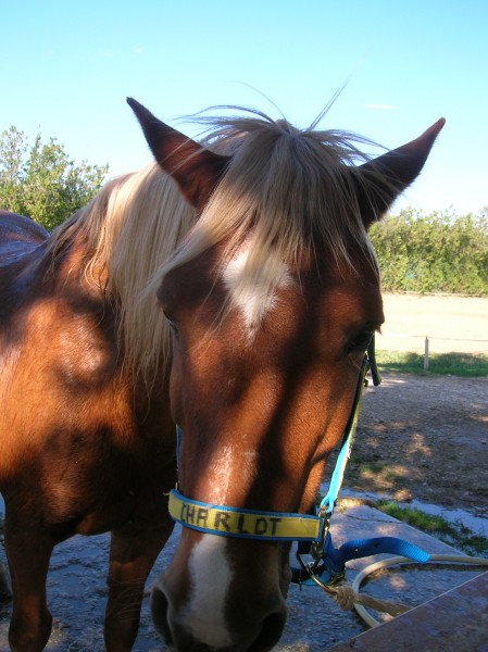 Photo de profil de louloune