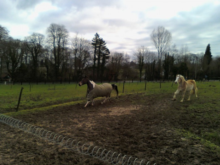 Photo de profil de anaisp76