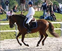 Photo de profil de sharonetsybelle