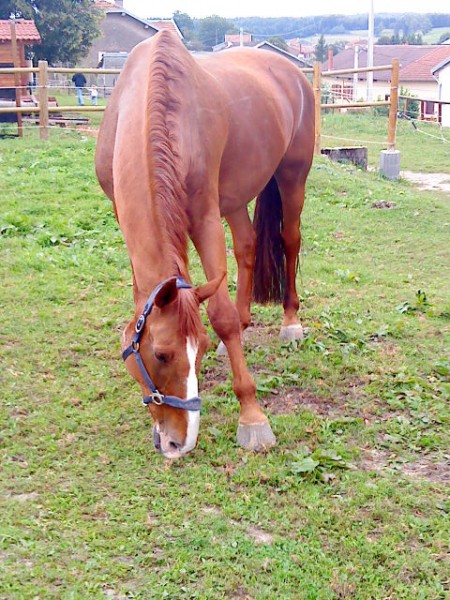 Photo de profil de dragou
