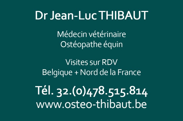 Photo de profil de thibautjl