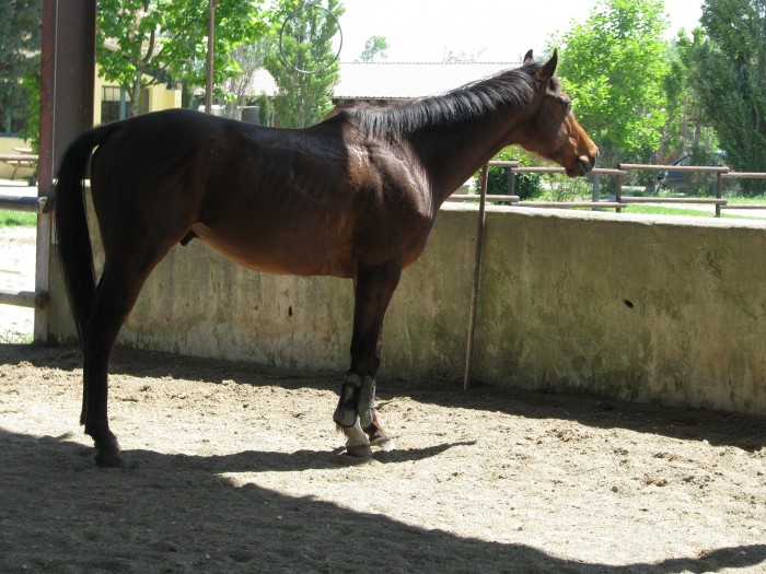 Photo de profil de bakel