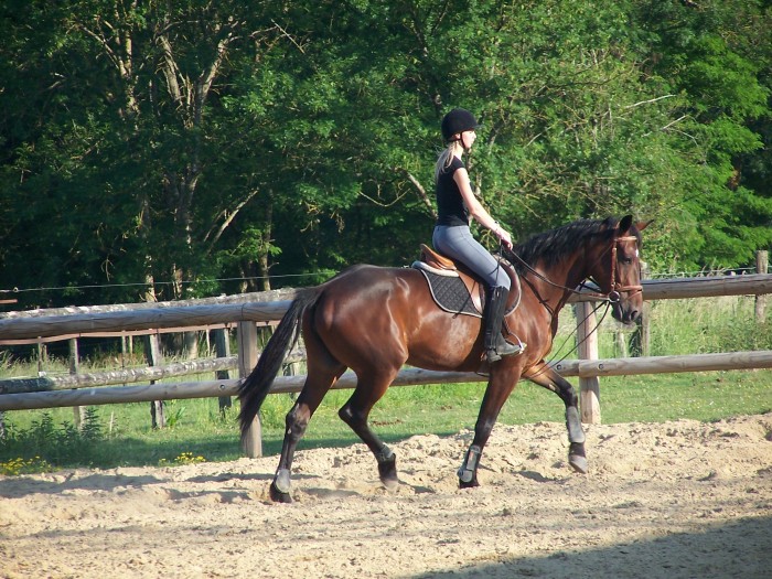 Photo de profil de laura378