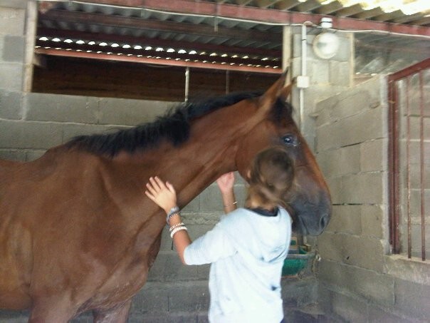 Photo de profil de sarkohorse