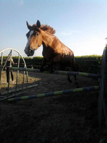 Photo de profil de chiarasb