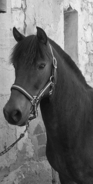 Photo de profil de curieuxetmargau