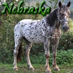 Photo de profil de nebraska31