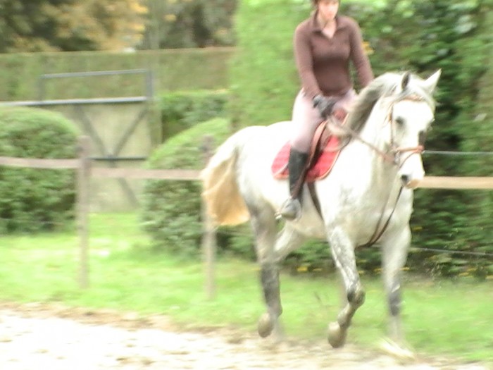 Photo de profil de amelie62