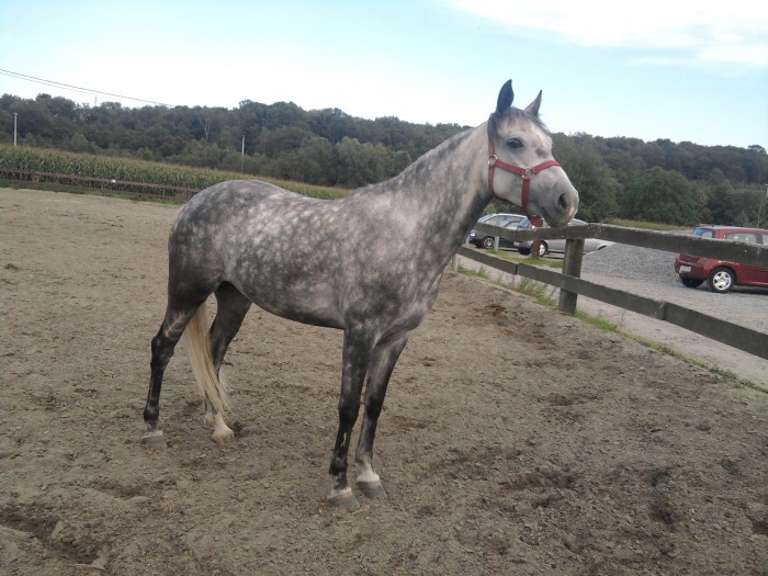 Photo de profil de herasblanche