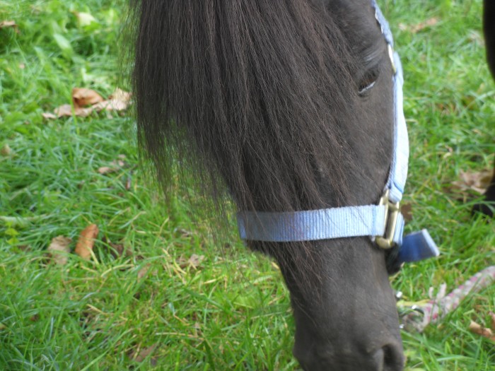 Photo de profil de huette