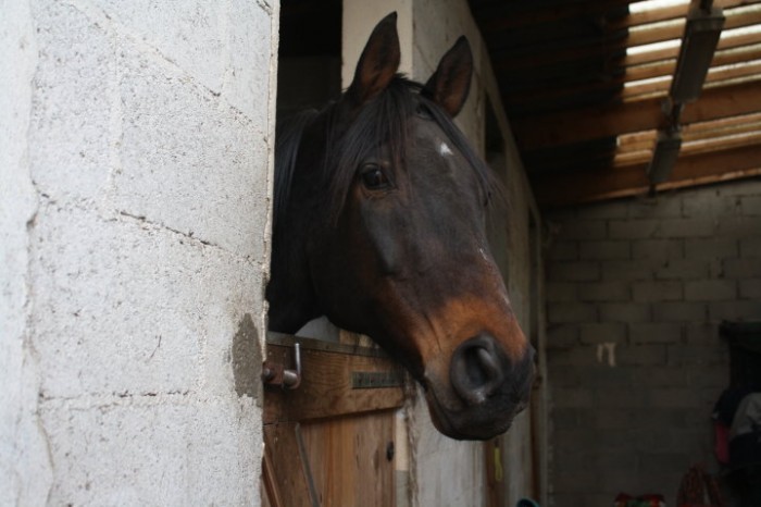 Photo de profil de amandah63