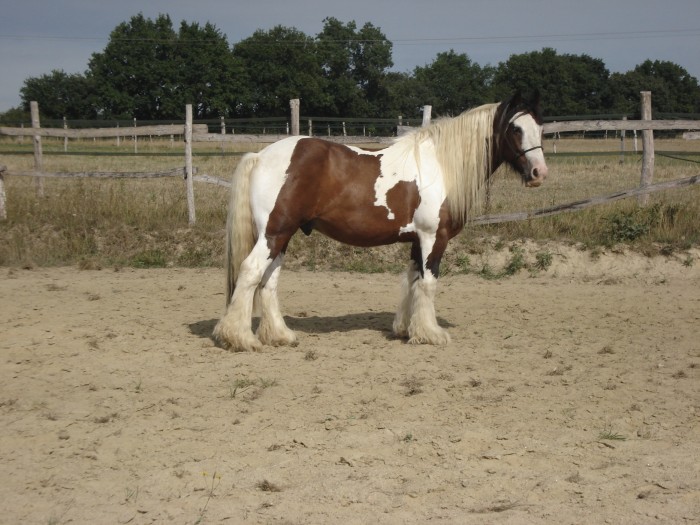 Photo de profil de minimelon