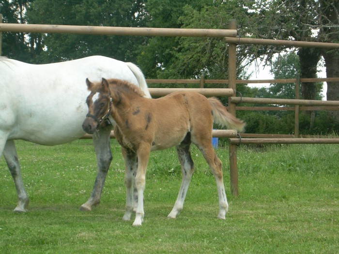Photo de profil de lasabre