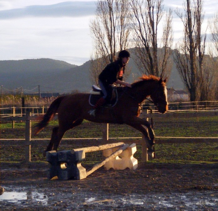 Photo de profil de montana31