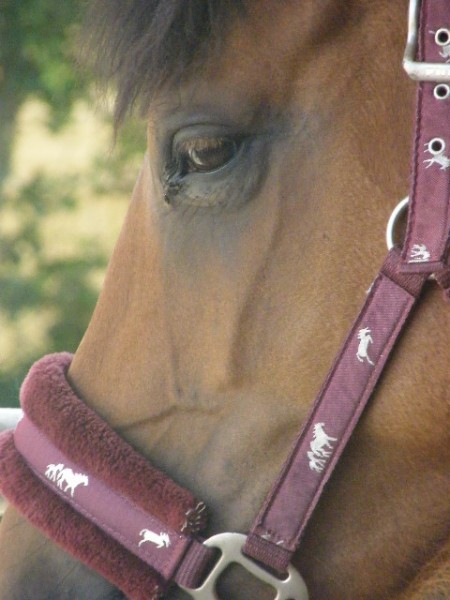 Photo de profil de jeannetteb